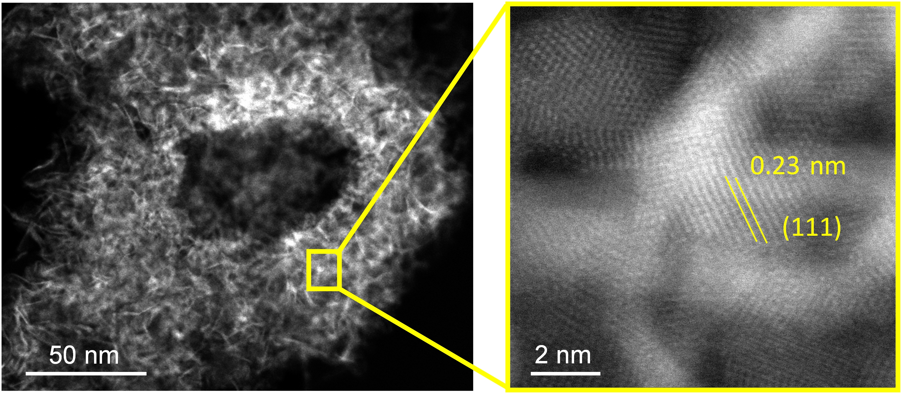 Exosomes + palladium = targeted bioorthogonal catalysis
