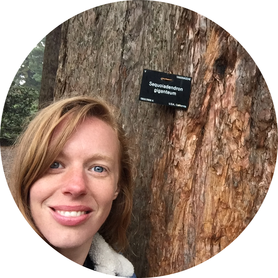 Go to the profile of Nicola Williamson