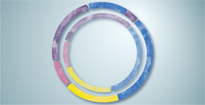  The small plasmid that could