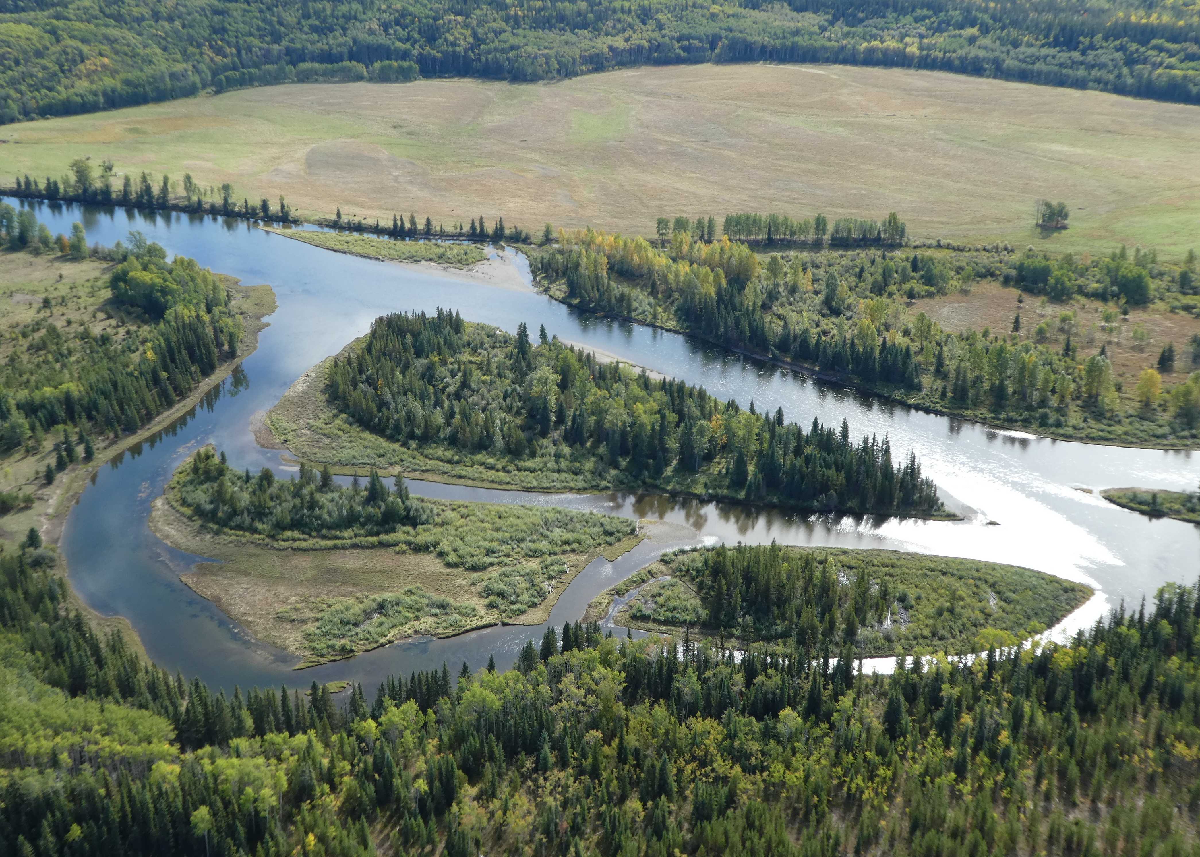 Extreme hydrometeorological events induce abrupt and widespread changes in Pacific Northwest freshwater temperatures