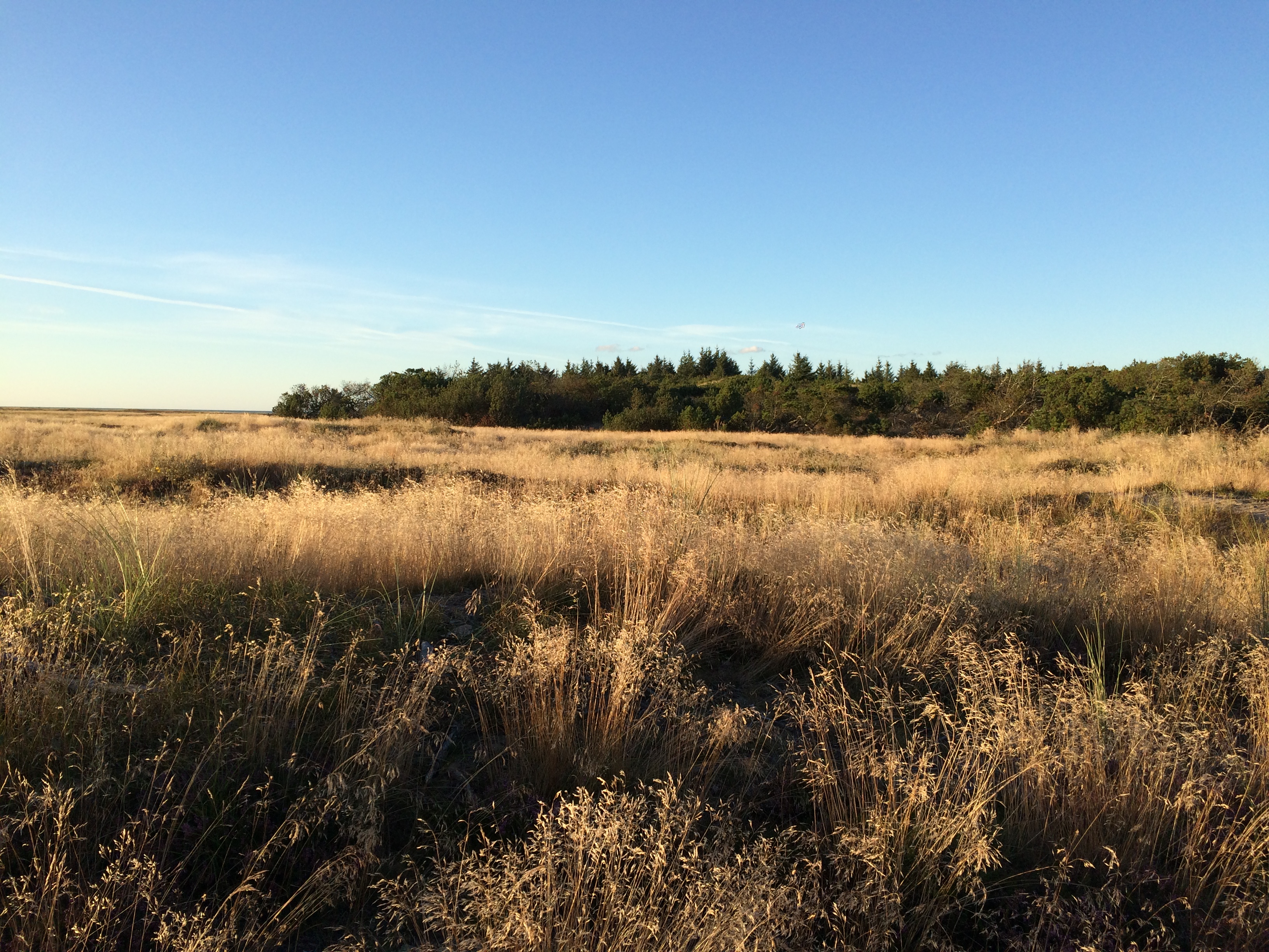 The beauty of the Scandinavian landscape