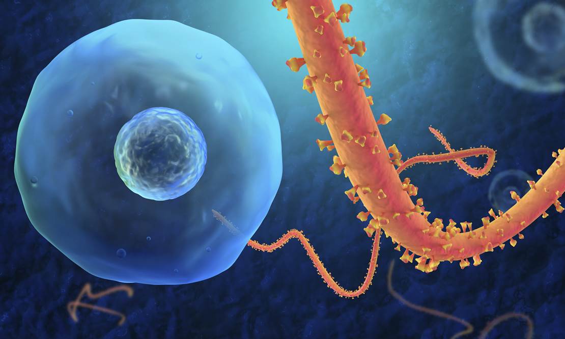 CRISPR-driven CARs