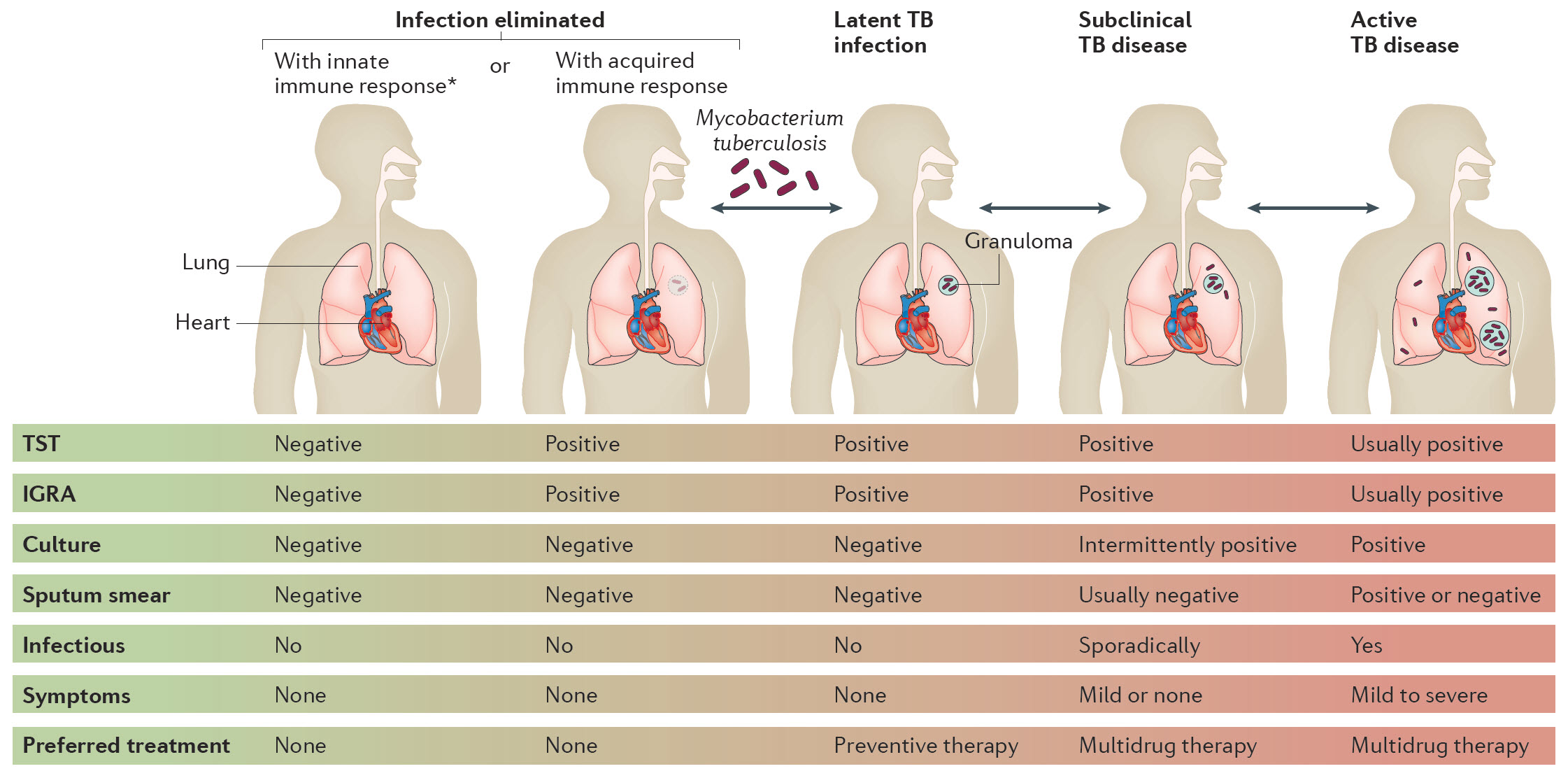 The Spectrum of Tuberculosis and Why It Matters