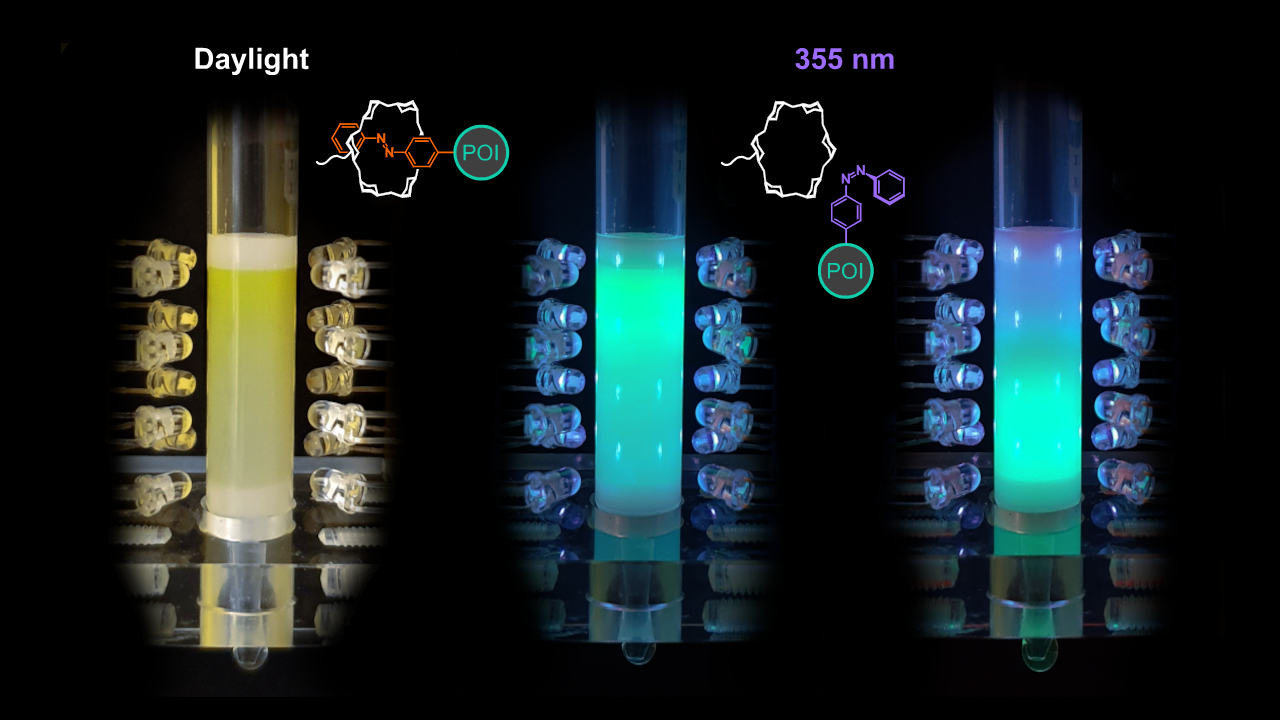 Protein purification with light – a revolution in affinity chromatography