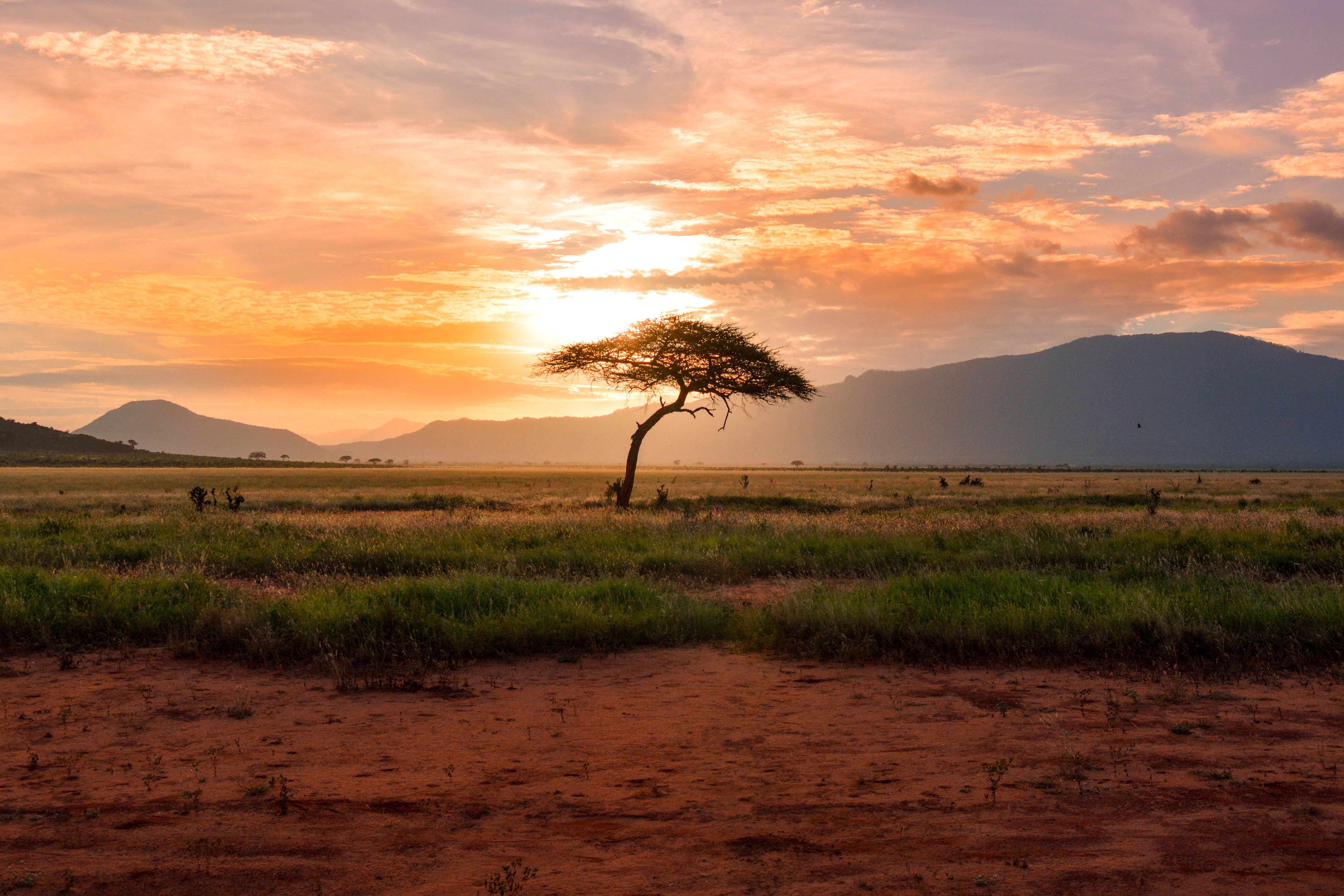 Call for nominations: Top 100 Young African Conservation Leaders