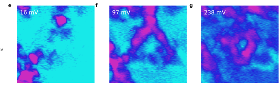 Topological states in non-integer dimension