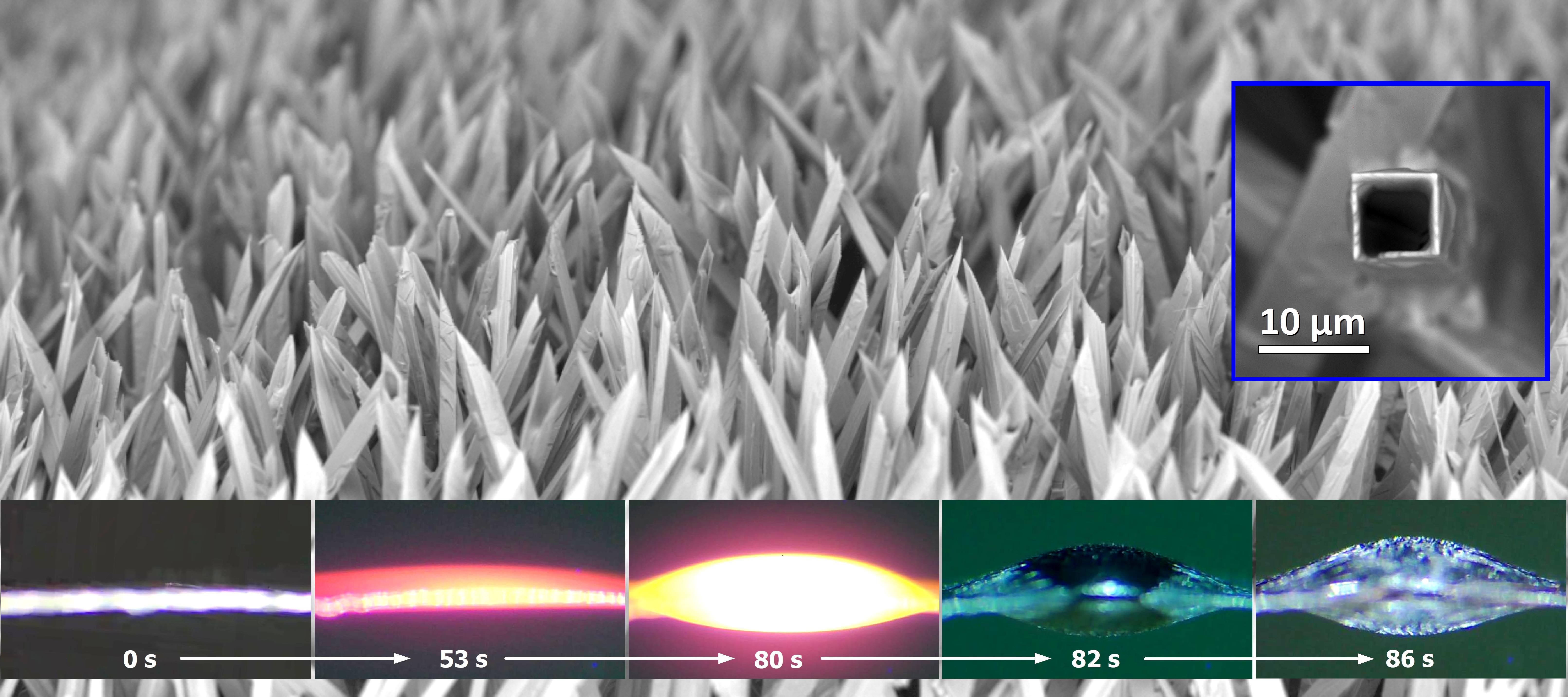 Single crystal vanadium dioxide microtube arrays