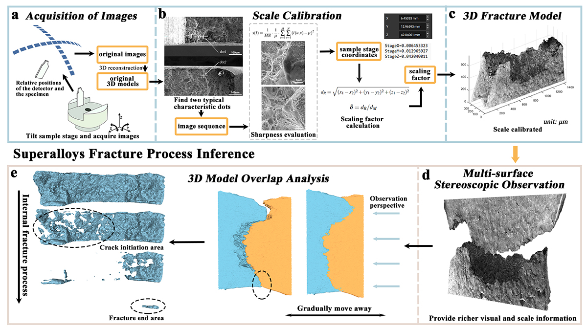 Three-dimensional inner fracture insights into the complex fracture behavior of superalloys