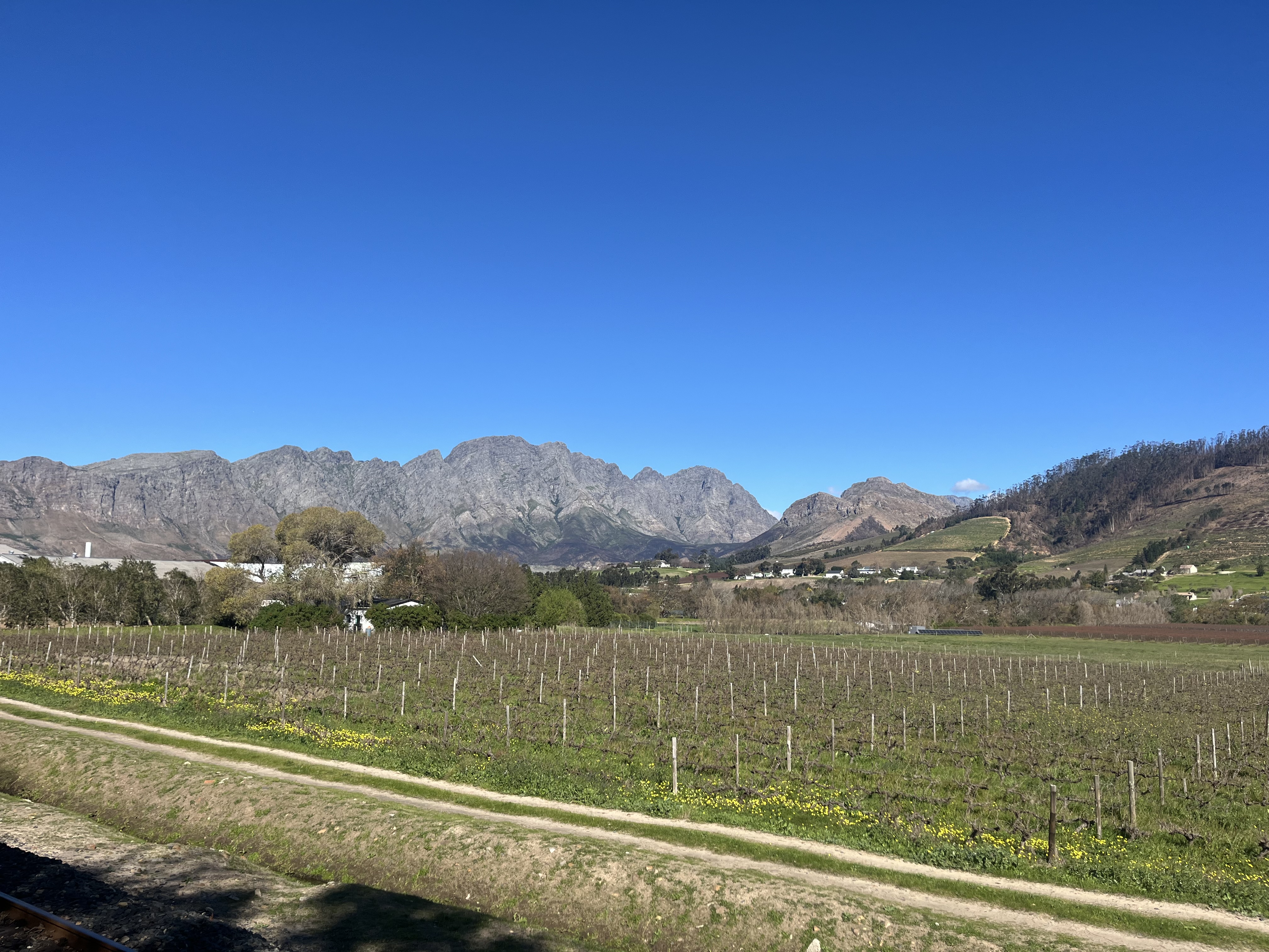 SOS Children's Village, Cape Town: Week 2 reflections