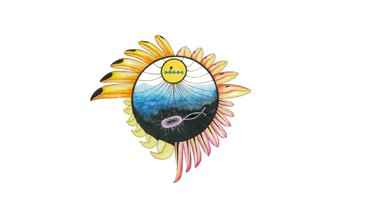 What the beaks of Galapagos finches have to do with marine bacteria