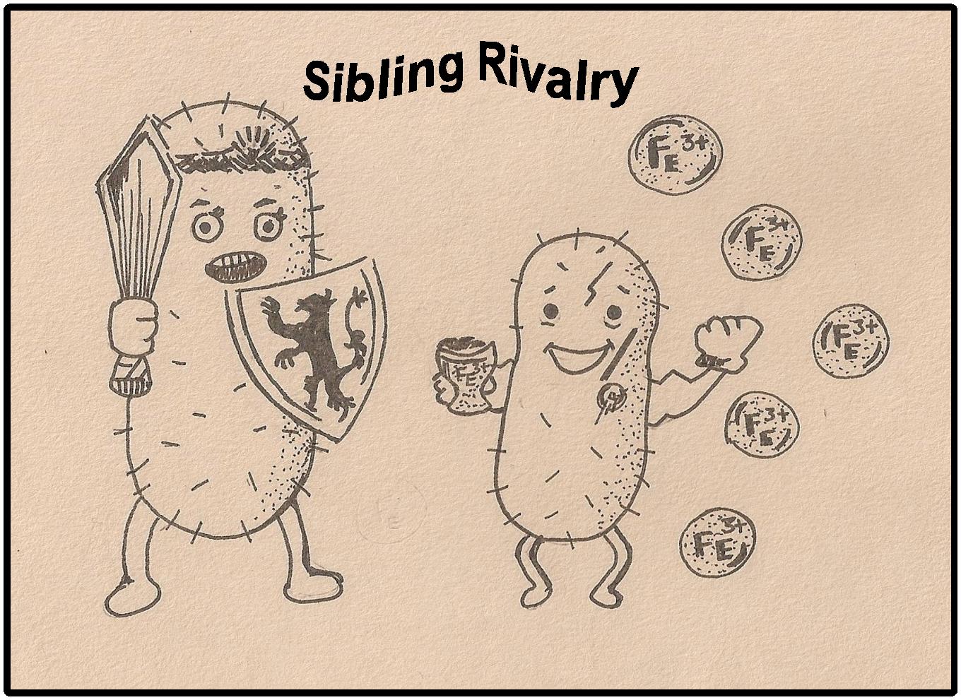 Episode 2 Sibling Rivalry 