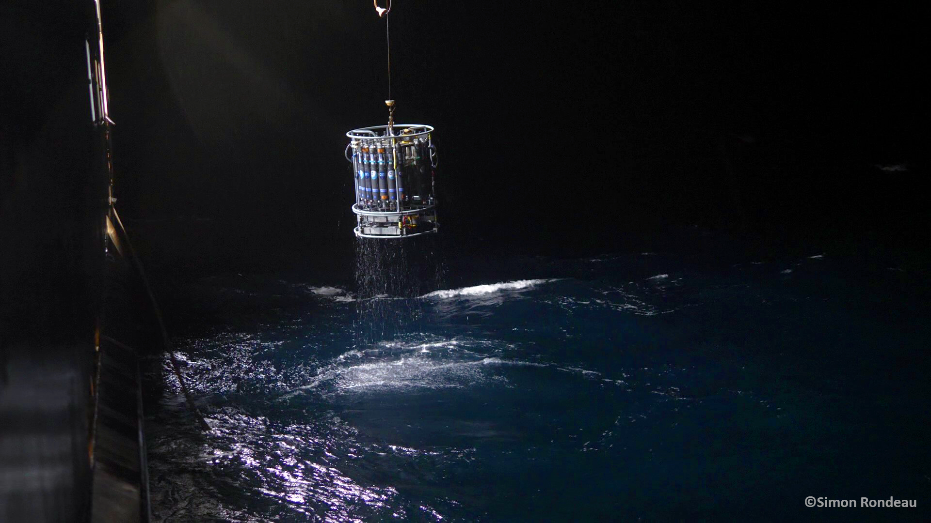 Distinct contributions of suspended and sinking prokaryotes to mesopelagic carbon budget