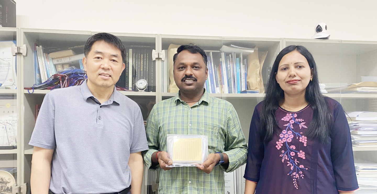 Beauty of halide perovskite polymorphs