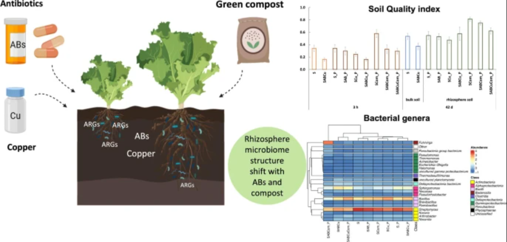Restoring Contaminated Soils: The Hidden Power of Green Compost
