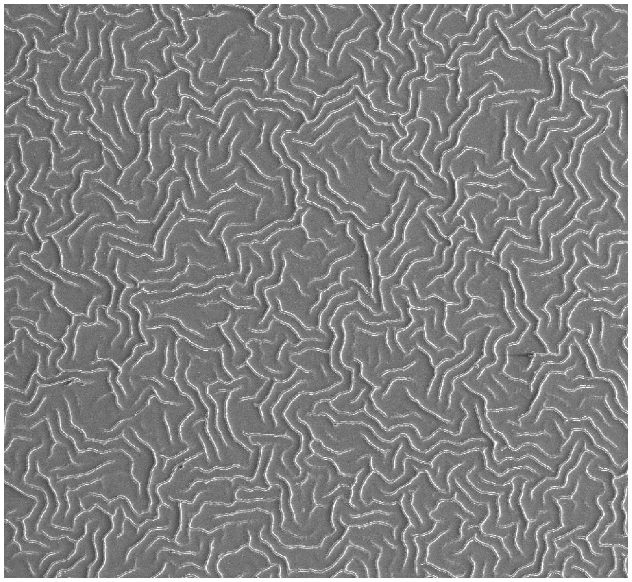 Ups and Downs: How Perovskite Films Wrinkle