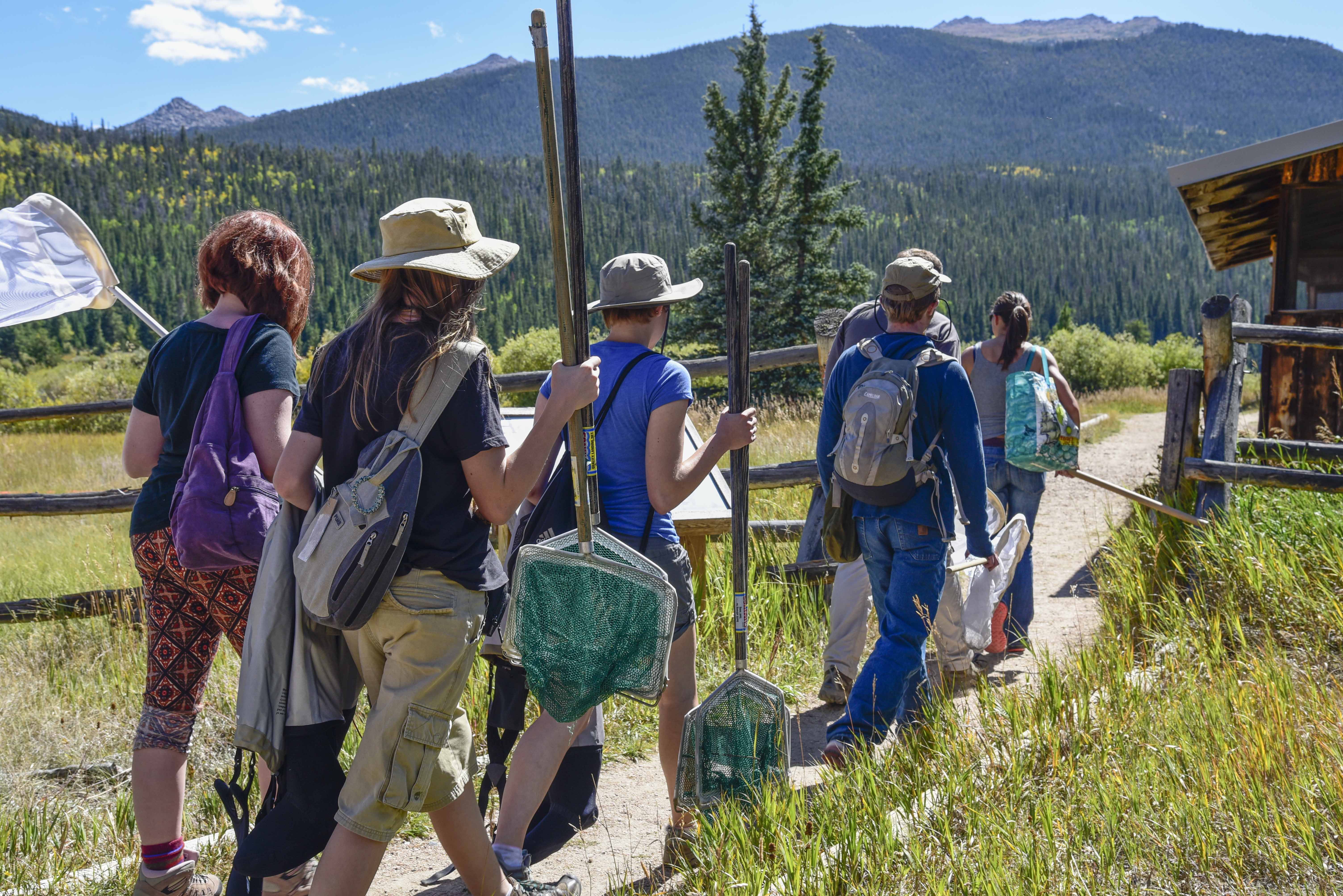 How can we achieve diversity and inclusion in ecology?