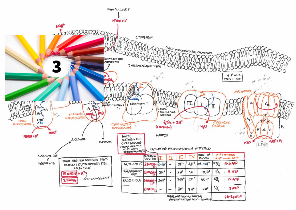 When science meets art 
