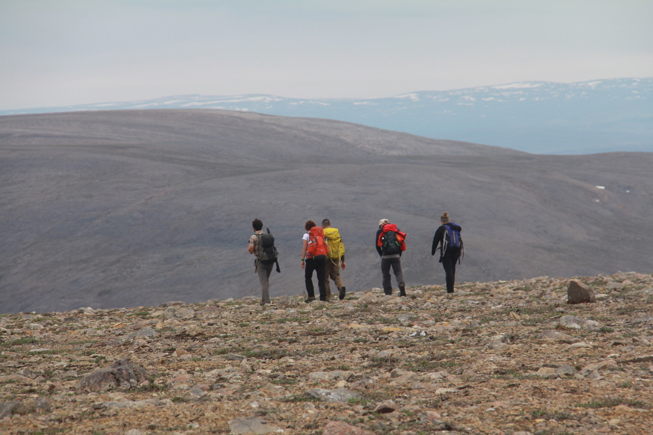 Chasing Echoes of the Biosphere During Earth’s Middle History