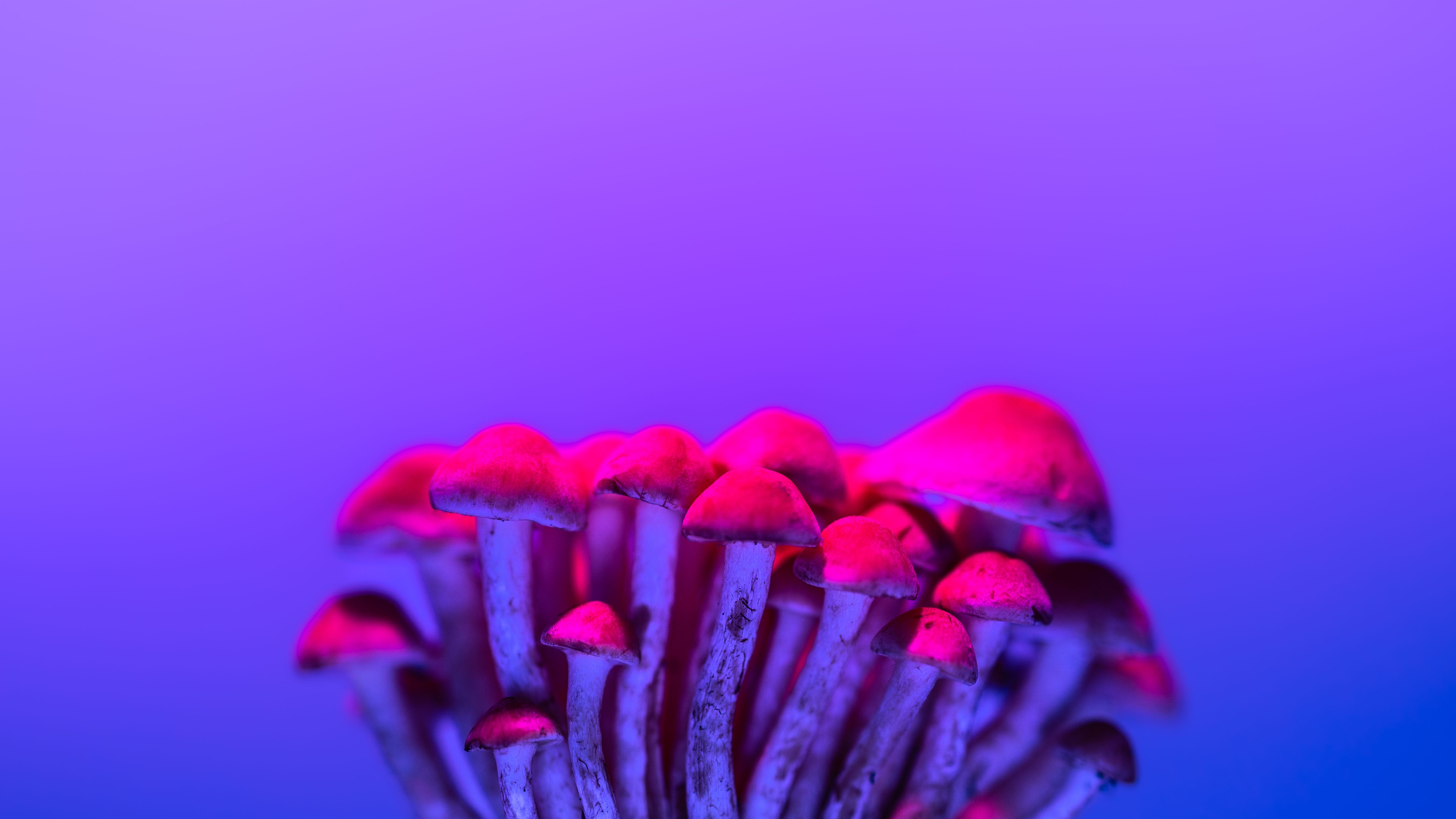 Can we sustain the shift beyond stigma for psychoactive substance trials? 
