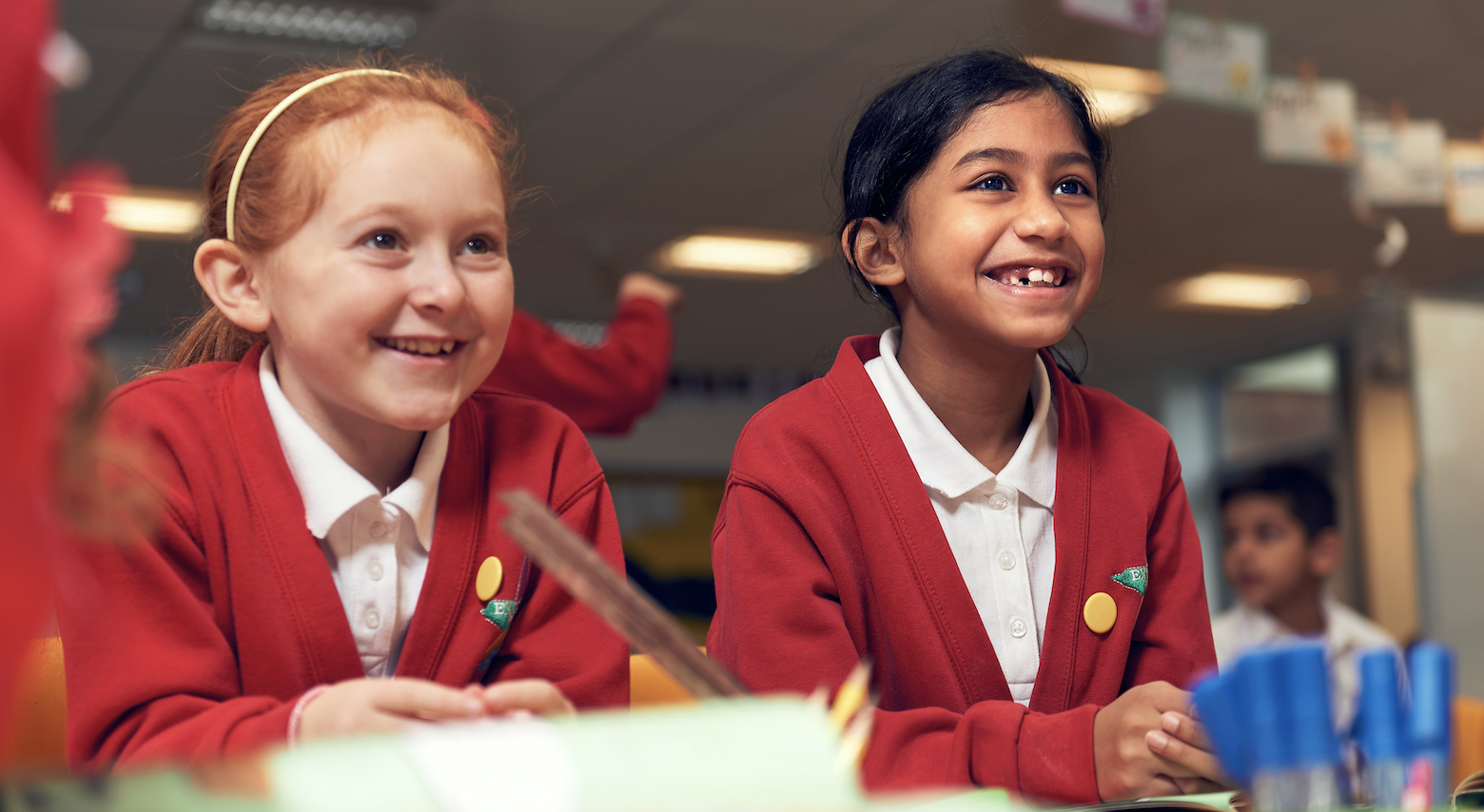 Volunteer at Laidlaw Schools Trust 
