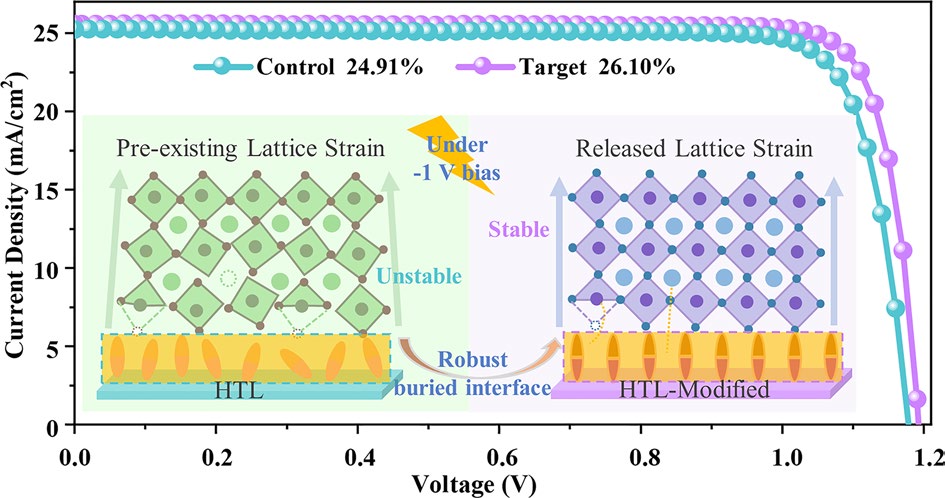 Taming Lattice Strain via Buried Interface Engineering for Reverse‑Bias Resilient Perovskite Solar Cells