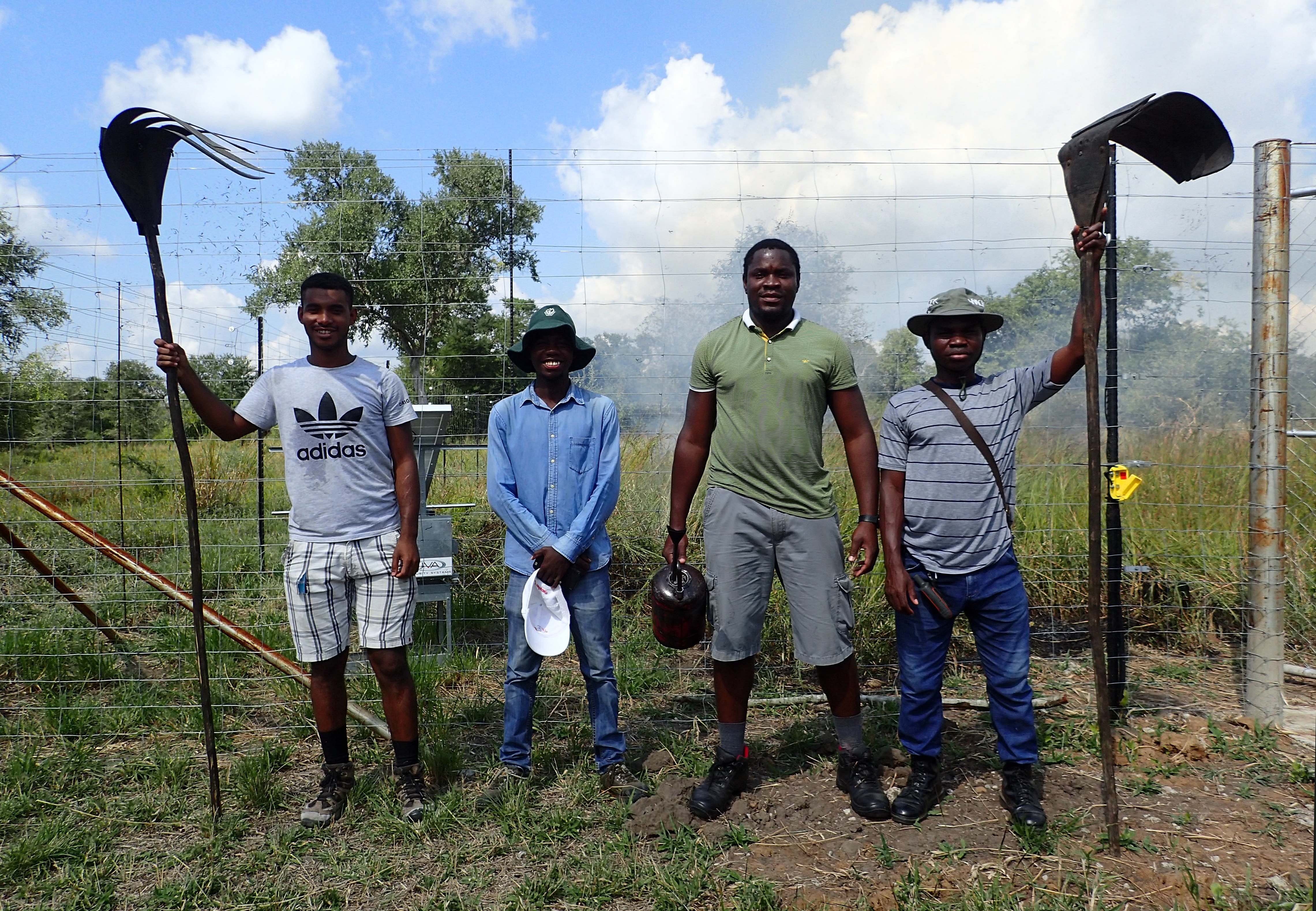 Ecosystem-wide responses to fire and large mammal 