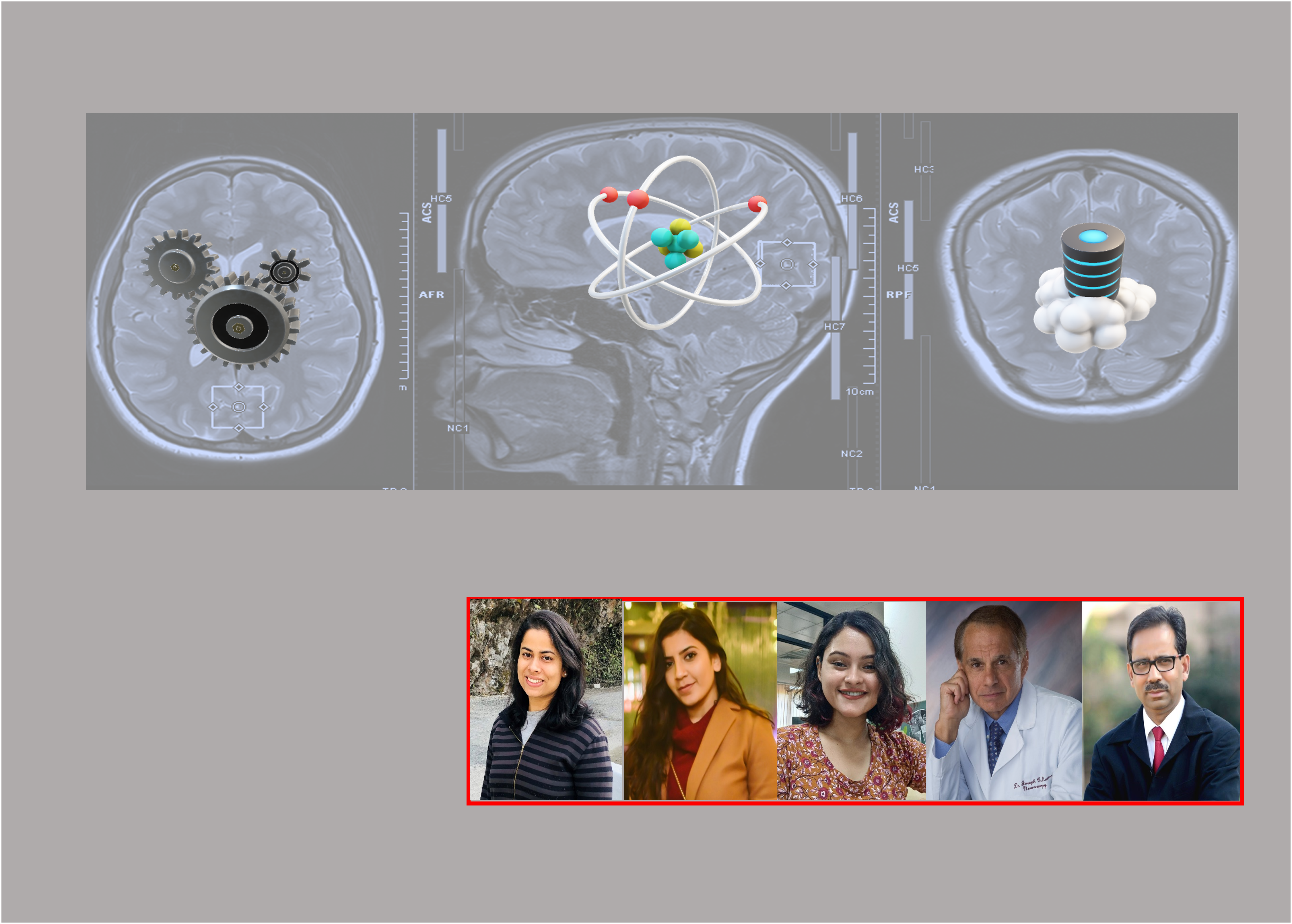 Neurochemical features are paramount for brain imaging databases