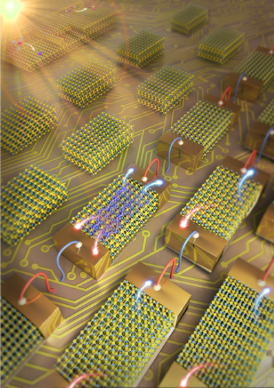 Ultrafast and highly sensitive infrared photodetectors based on two-dimensional oxyselenide crystals