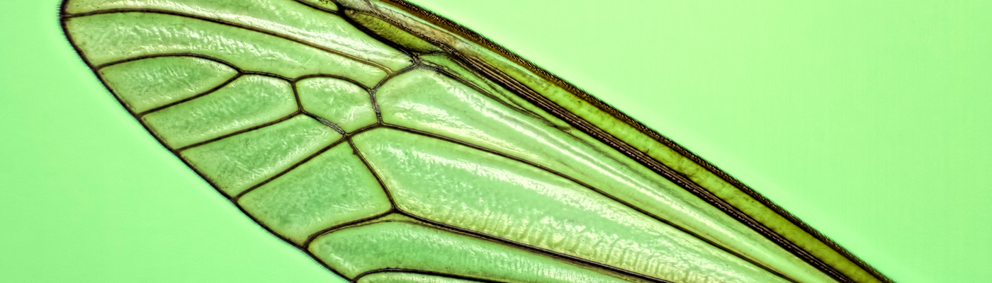 Top 100 Scientific Reports ecology papers from 2017