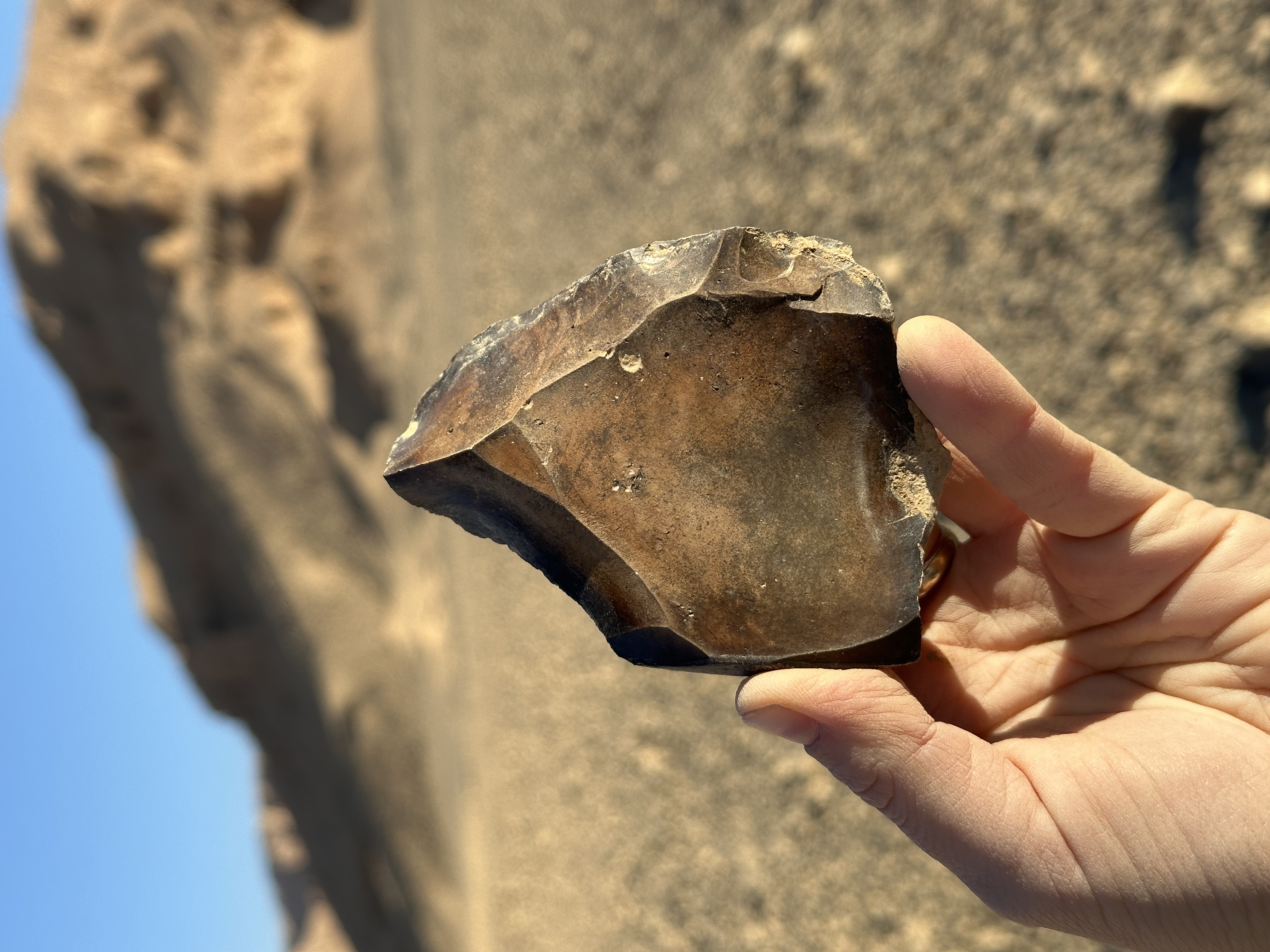What can Nubian Levallois cores tell us about Paleolithic human adaptation?