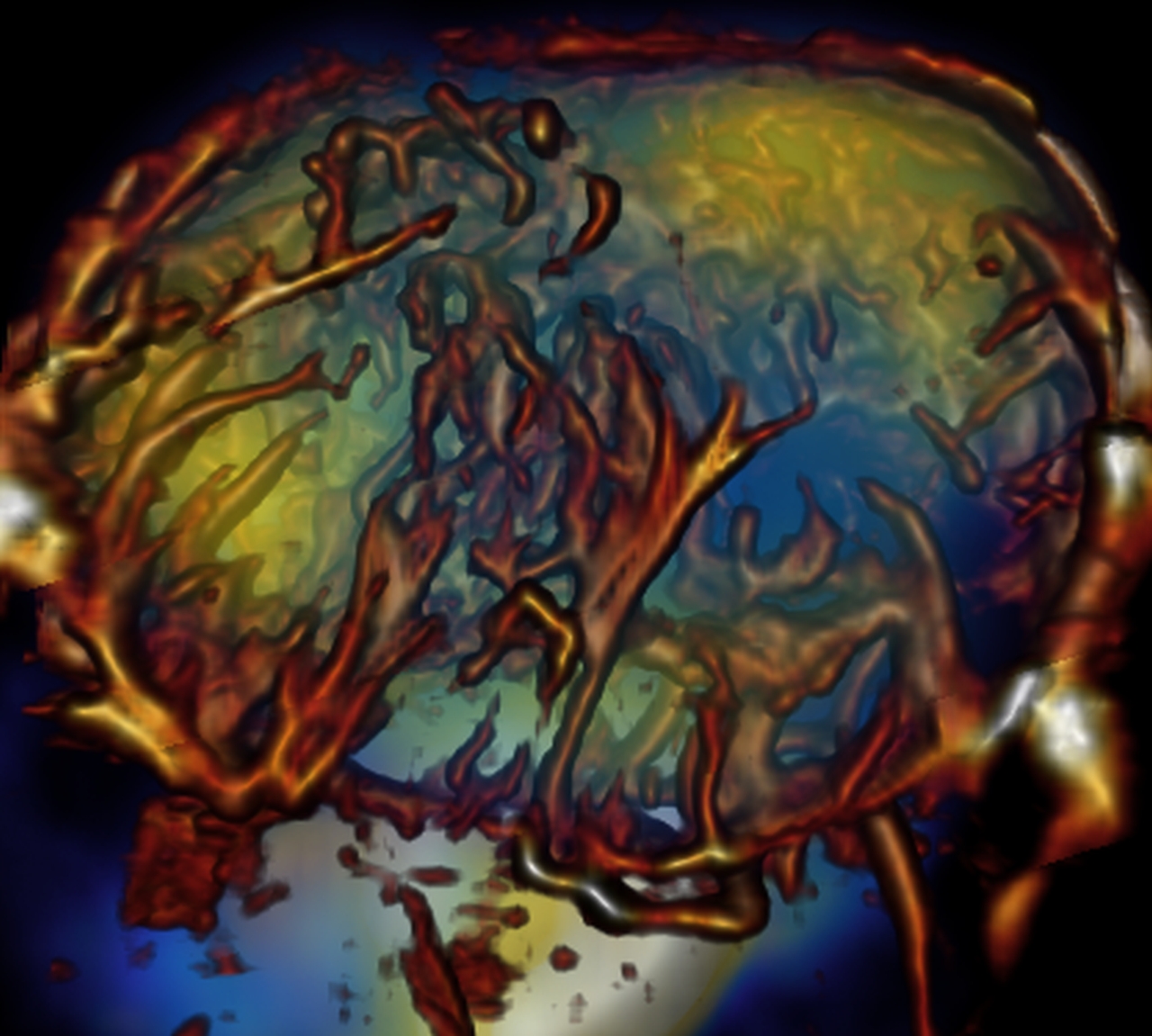 Hybrid imaging modality for simultaneous molecular, anatomical and physiological imaging