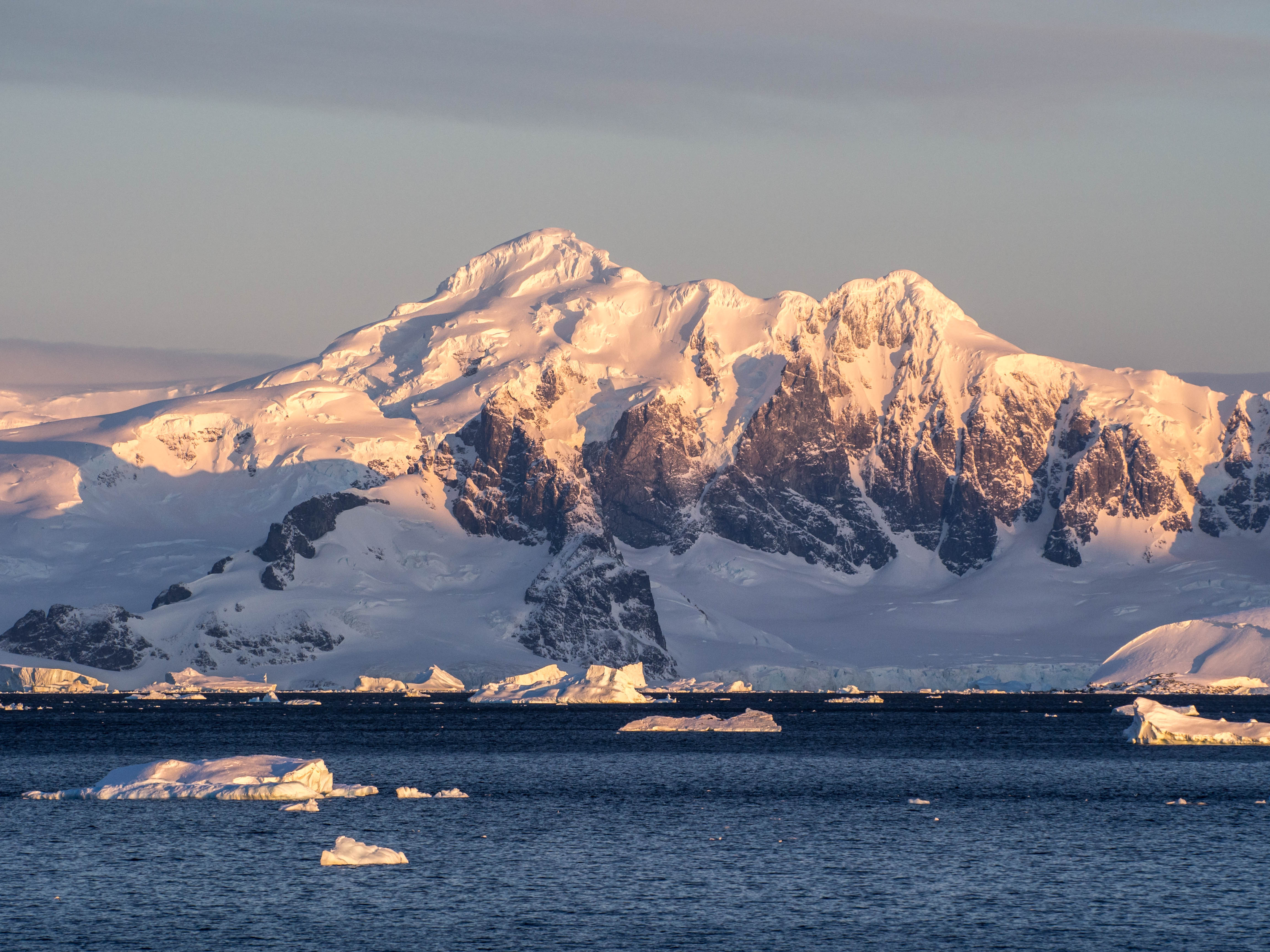 Evolutionary Ice Capades