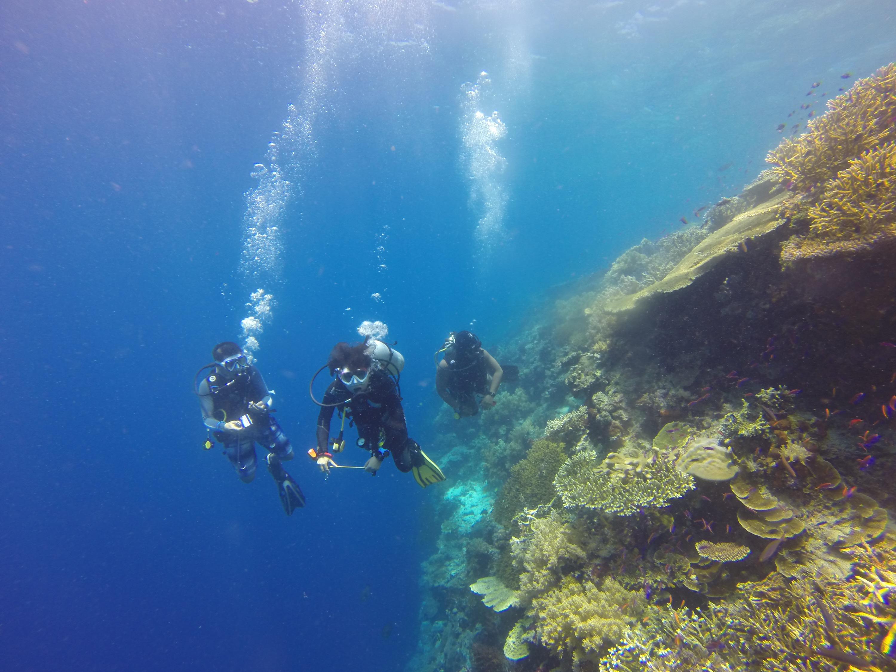Human and sponge microbial communities exhibit a stability-complexity tradeoff