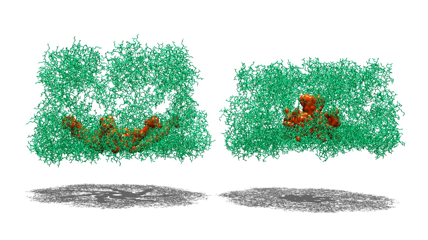 Vestiges are not Really Vestigial – carboxy termini drive chaperonin diversity?