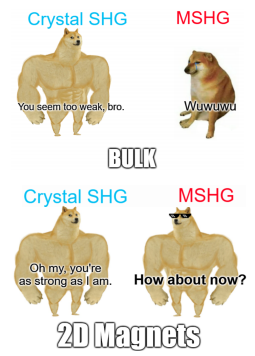 Maximizing Modulation of Second Harmonic Generation: Balancing Magnetic and Lattice Contributions