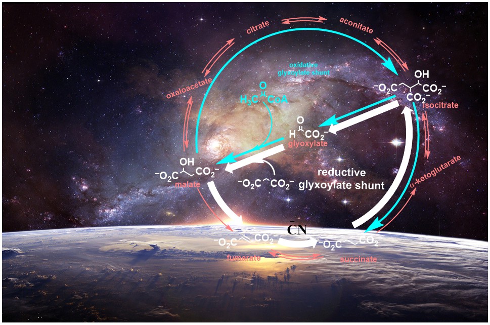 The role of Cyanide in origins of protometabolism on early earth