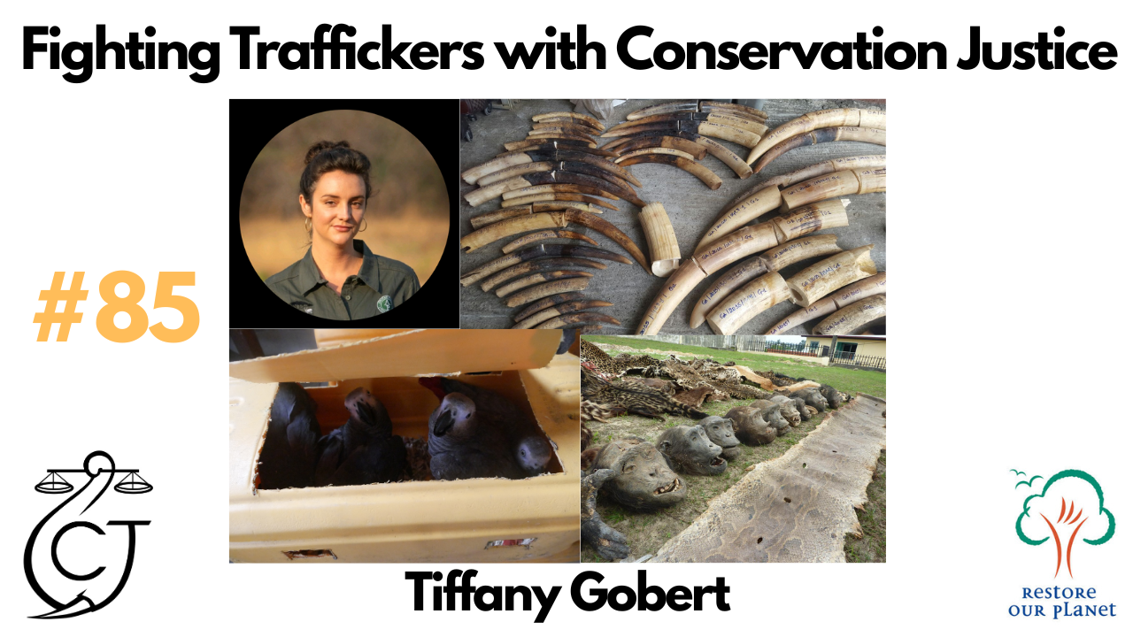 Restore Our Planet Podcast #85 Fighting Traffickers with Conservation Justice: Tiffany Gobert