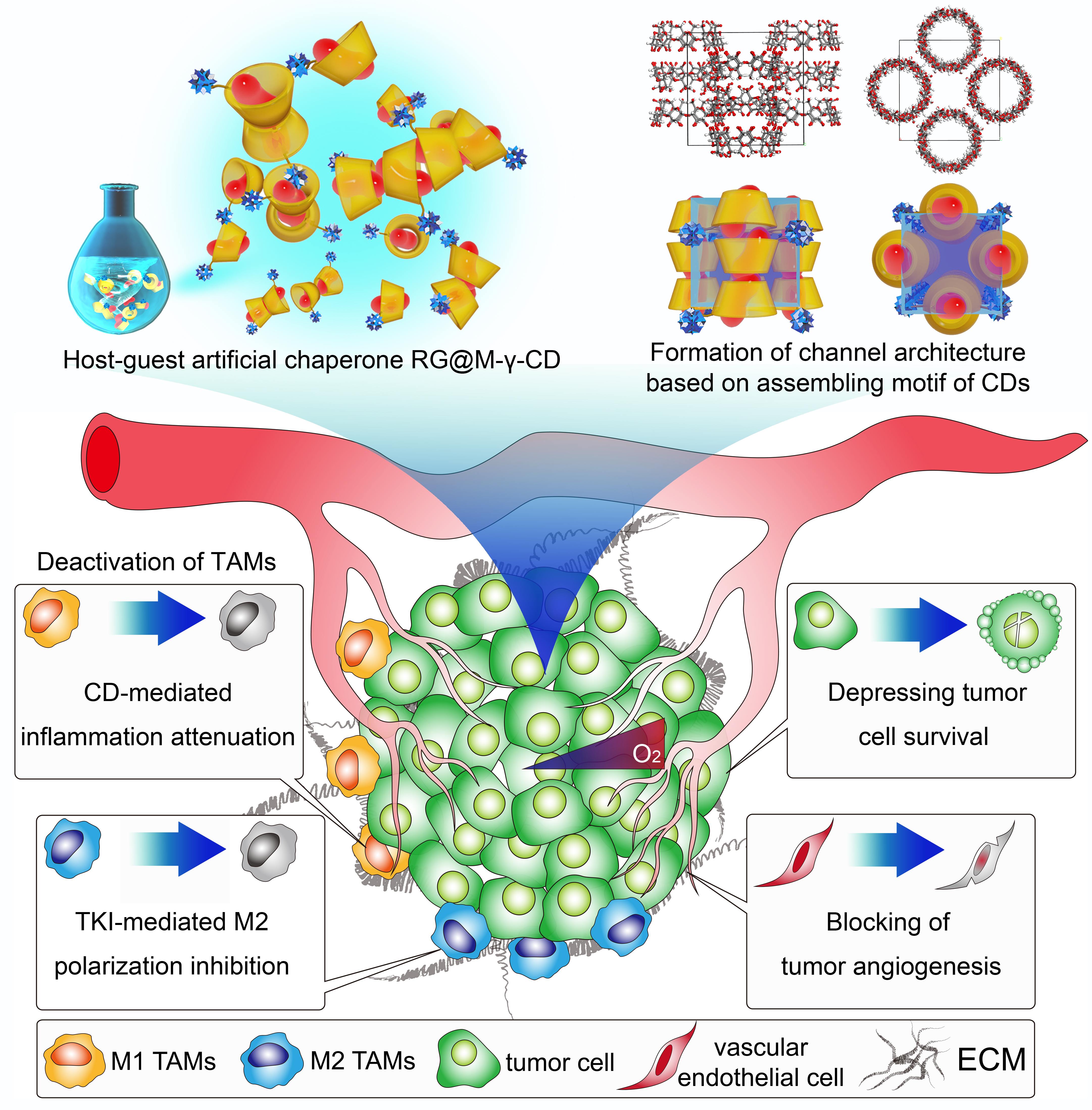 Cyclodextrin-based host-guest drug delivery system paves a way for synergetic intervention of tumor progression and inflammatory microenvironment against colorectal cancer