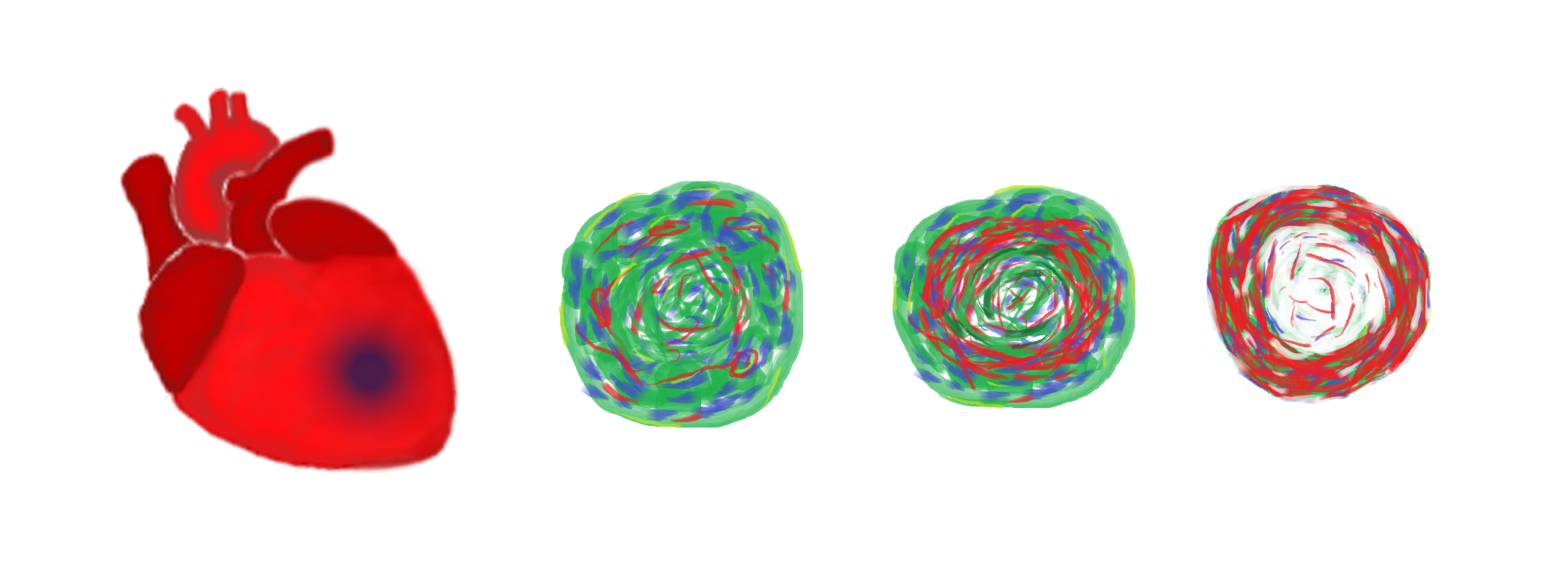 Life and death start with oxygen gradients.