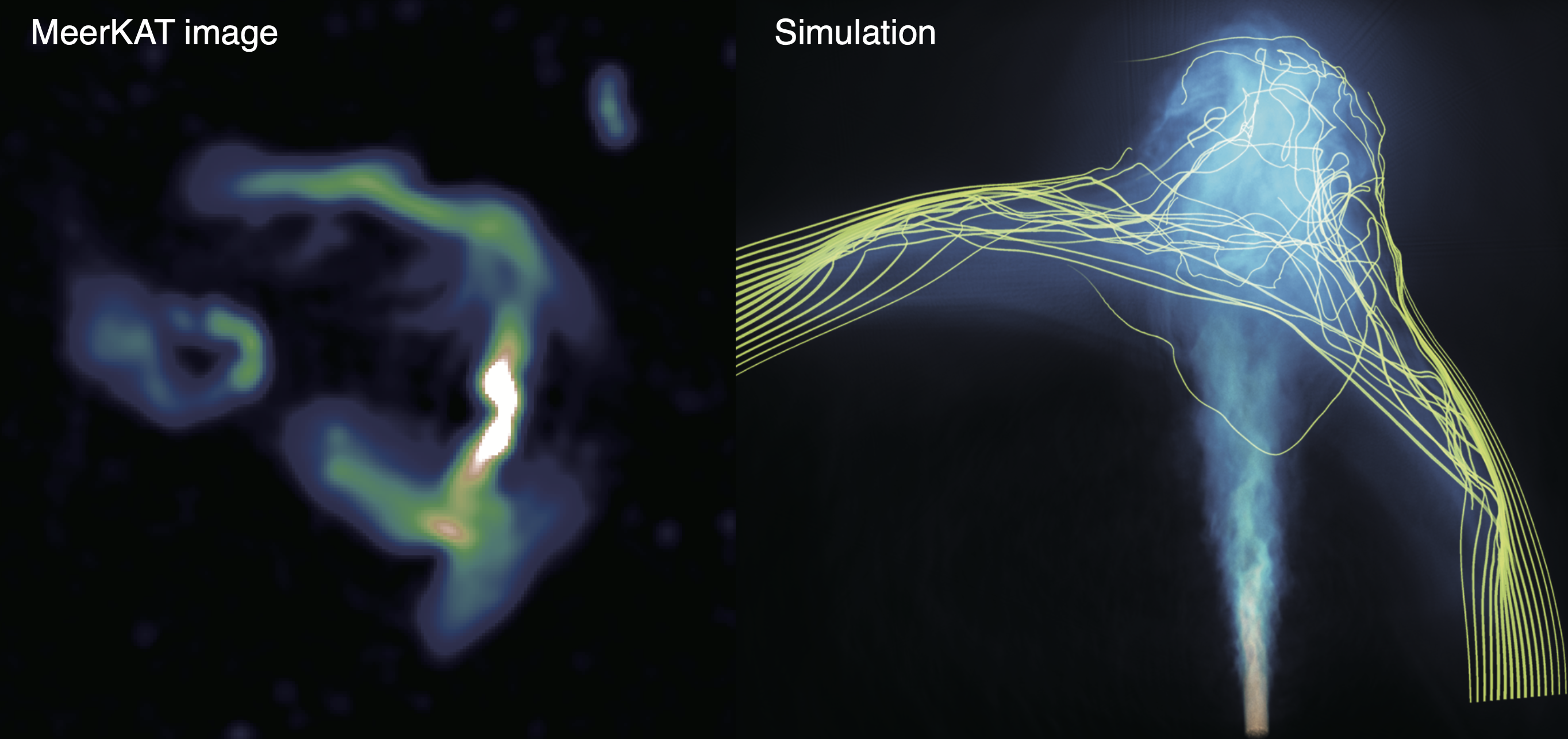 A new window for probing the hidden side of magnetized universe