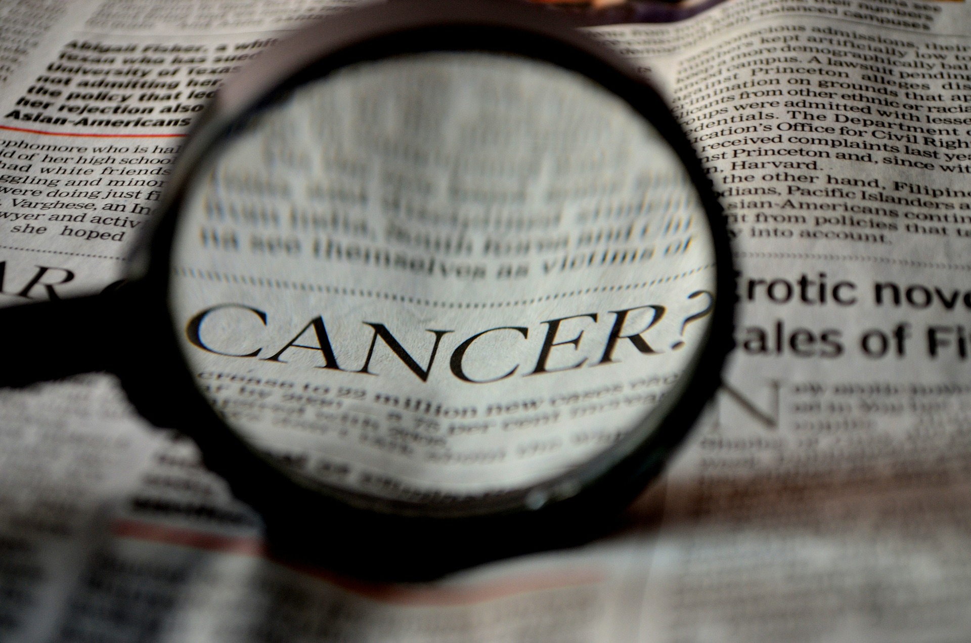 Journal Club | The Bugs that Eat Cancer Drugs