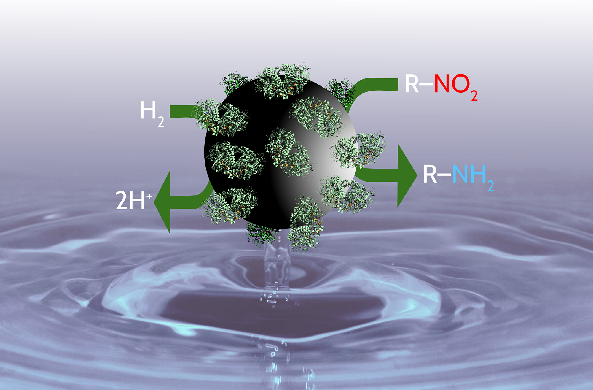 Hydrogenase enzyme offers surprise advance for cleaner synthesis of amine chemicals 