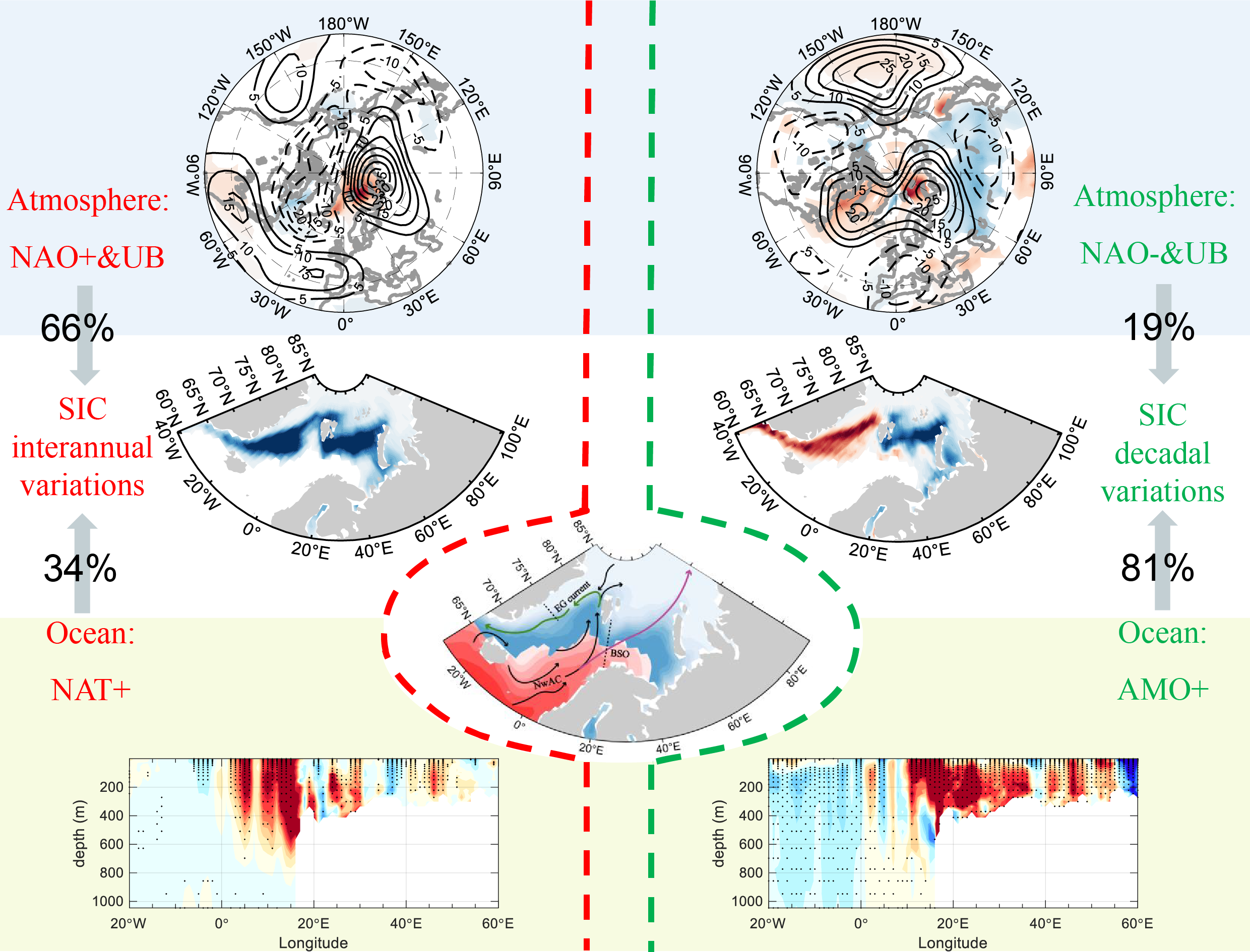 Differing roles of North Atlantic oceanic and atmospheric transports in the winter Eurasian Arctic sea-ice interannual-to- decadal variability