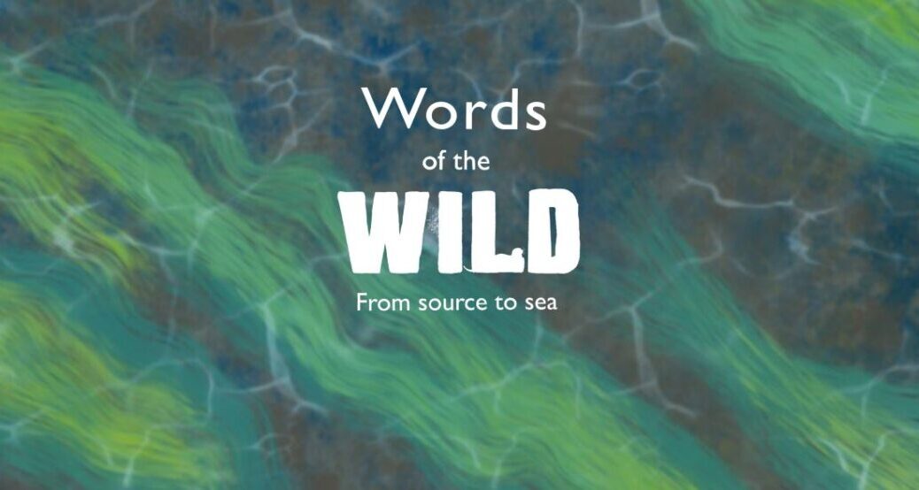 Words of the WILD 2025 competition