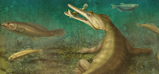 Which came first: the reptile or the egg?