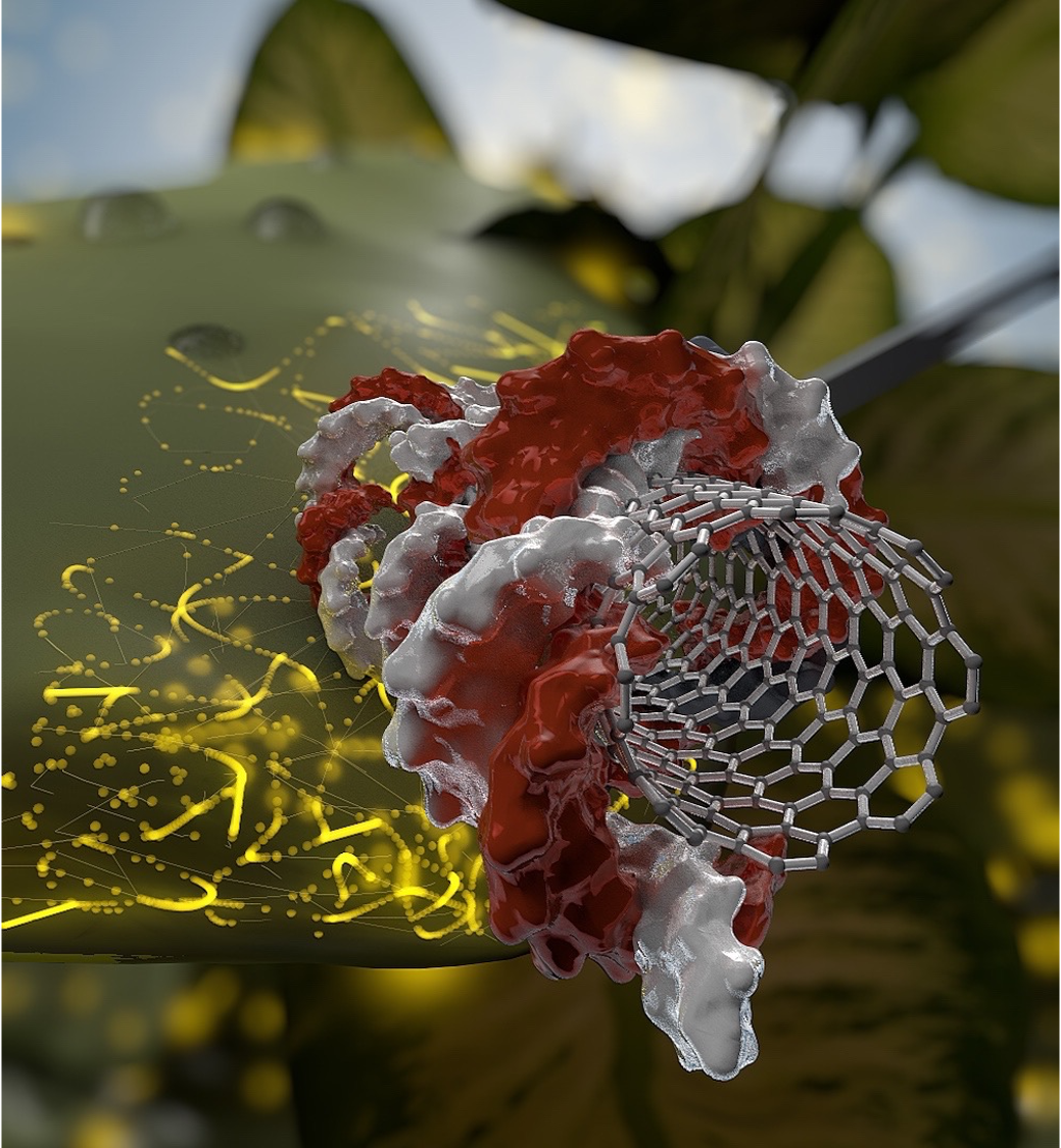 Nanotechnology to advance CRISPR-Cas genetic engineering of plants