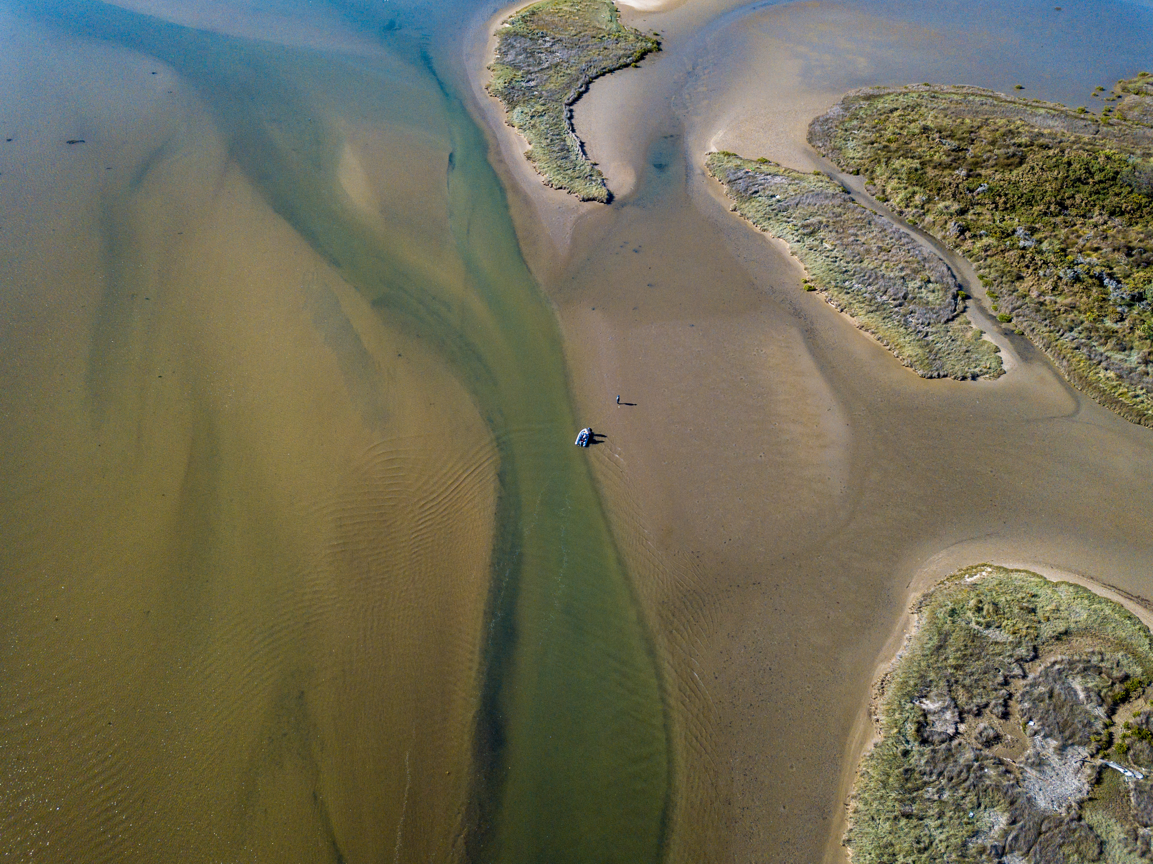 The value of the unseen: how tiny animals stabilise estuarine ecosystems