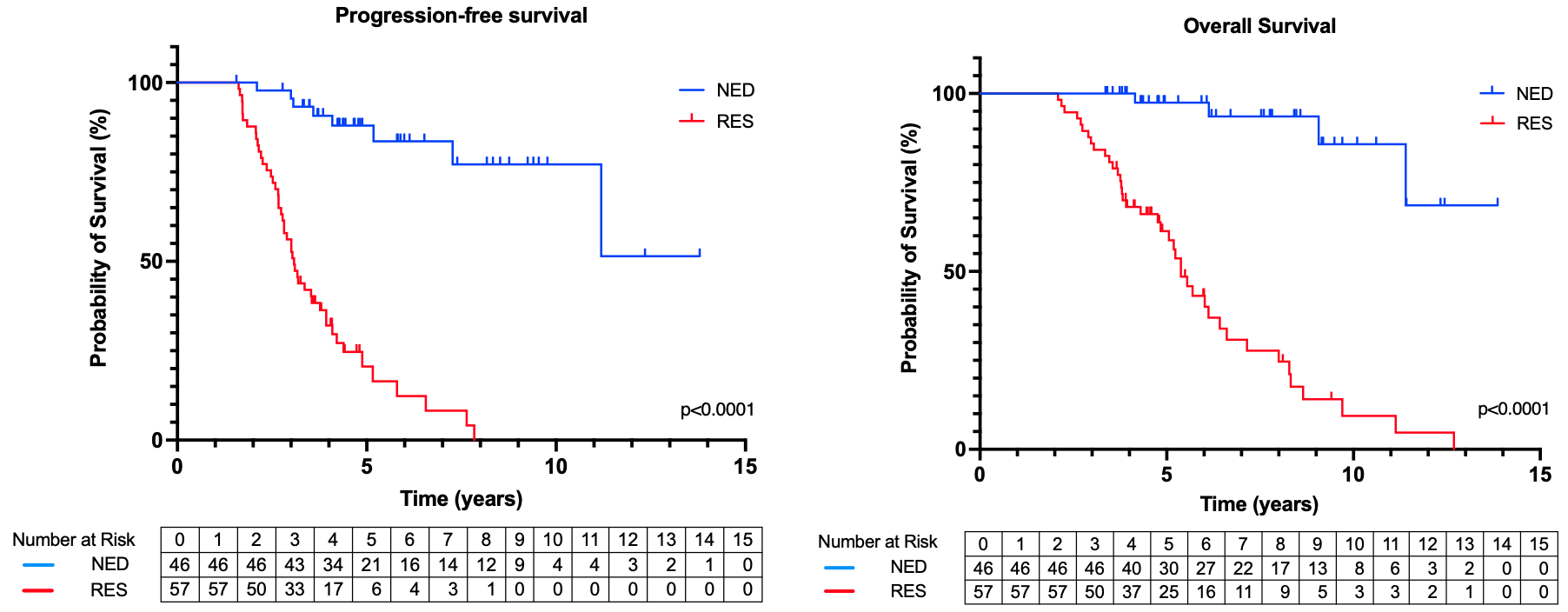 No Evidence of Disease in patients with HER2-positive metastatic breast cancer – can some patients stop treatment?