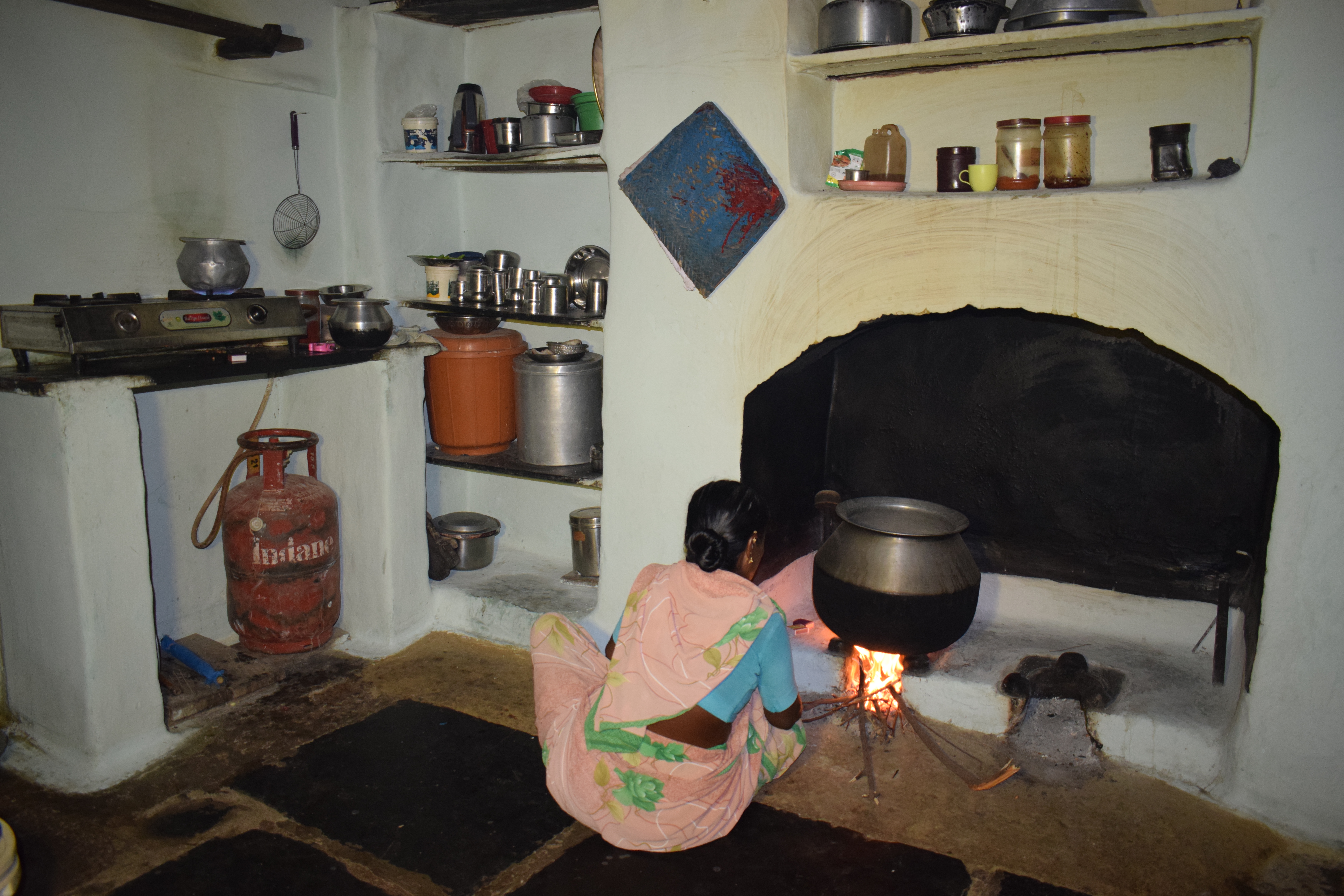 Measuring cooking energy transition in rural India: the quest for reliable and representative data