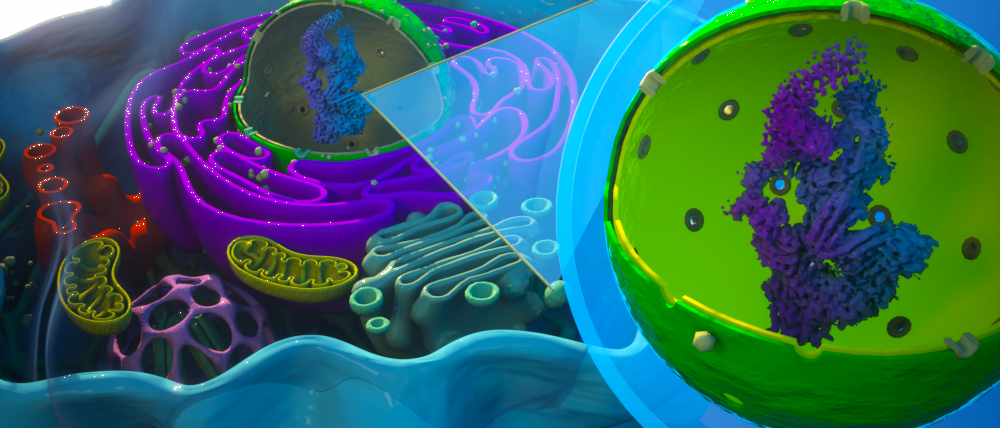 Recipe for success - interaction proteomics becomes a household item